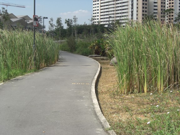 Slide6